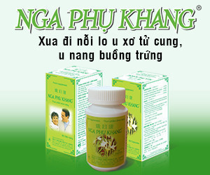 Nga_phu_khang-300x250-300x250-300x2501-300x250