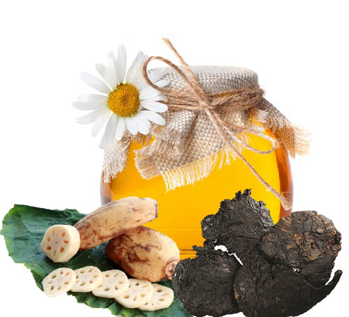 Bài thuốc chữa bệnh tiểu đường bằng mật ong rừng, nước ép ngó sen và sinh địa 