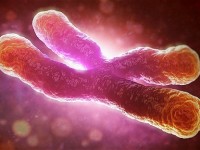 Phát hiện ung thư sớm 13 năm nhờ đo gene